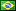 brazilian portuguese speaker